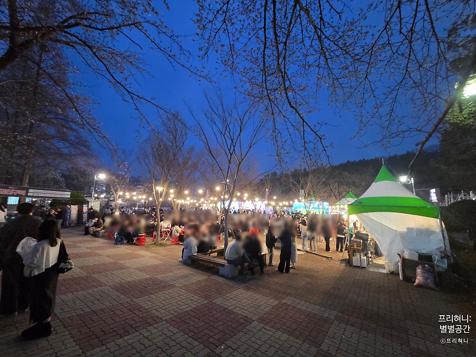 2026 군산 은파벚꽃야시장 사진 4