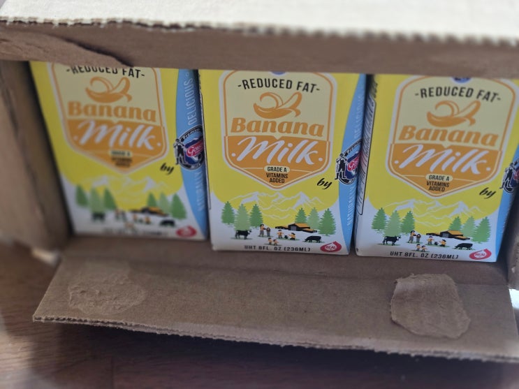  GOSSNER Reduced Fat Banana Milk