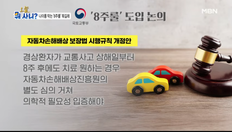 자동차보험 '8주룰' 일률 적용 논란…대한한의사협회장 