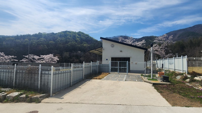 사진 5