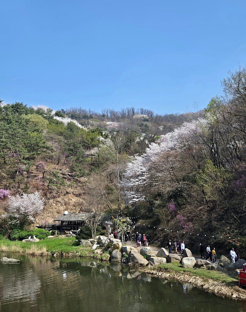엄마손떡볶이 본점 사진 4