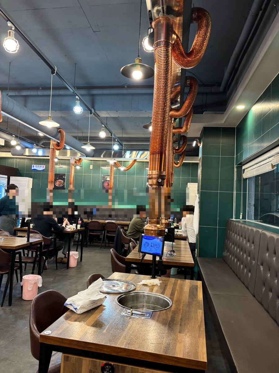 금되야지 사진 6
