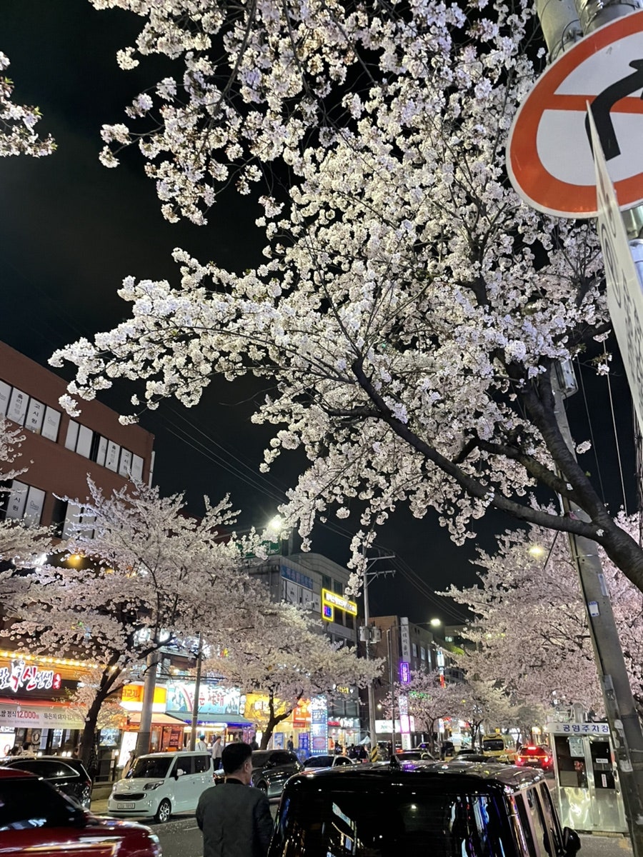 김선장참치 사진 6