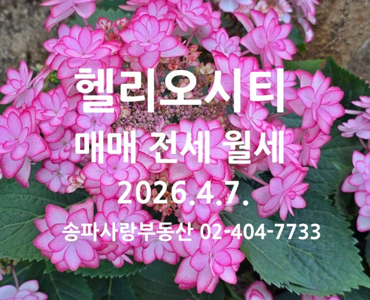  거래가 꾸준한 헬리오시티 매매 전세 월세 2026년 4월 7일