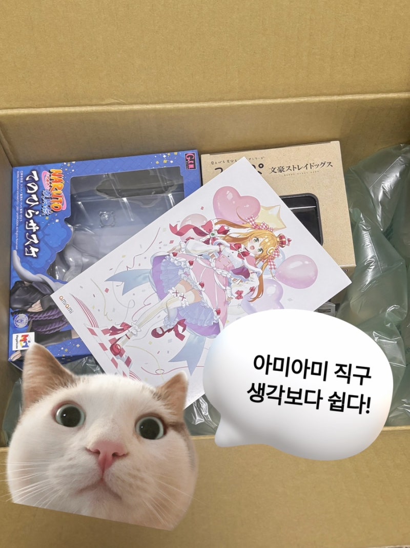 아미아미 글로벌 직구 방법 / ECMS 후기 | 문스독 룩업, 나루토 테노히라, 쿠라마 누이