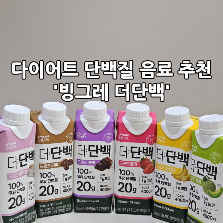  다이어트 단백질 음료 추천 '빙그레 더단백' 6종 혼합, 커피맛 후기(마시는 간편단백질 추천)