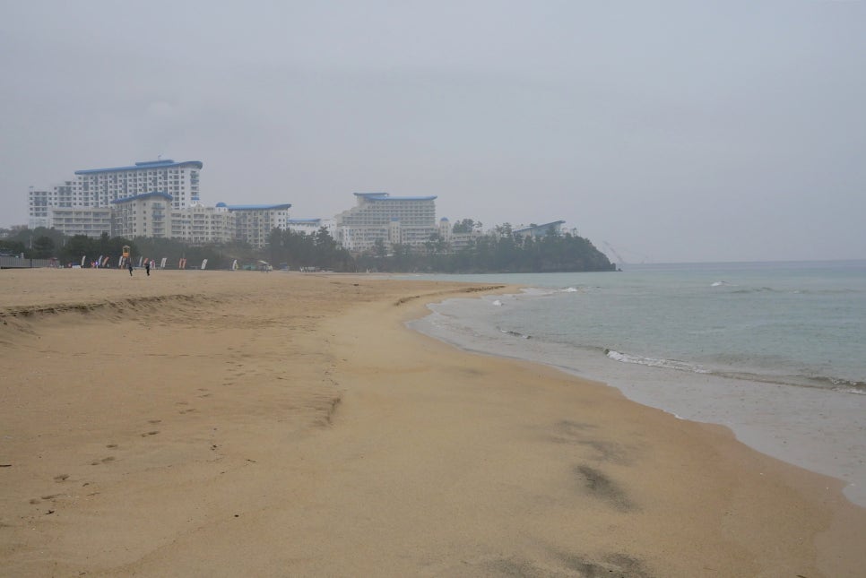 투썸플레이스 삼척해수욕장점 사진 5