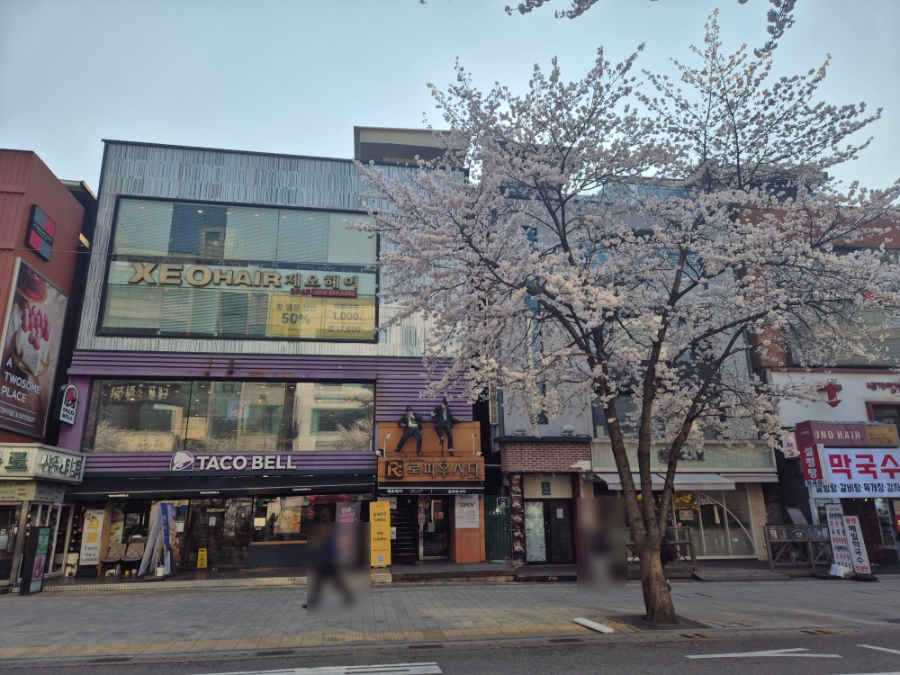 타코벨 신촌점 사진 1