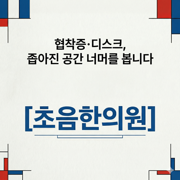  허리 디스크와 협착증 치료에 대한 생각