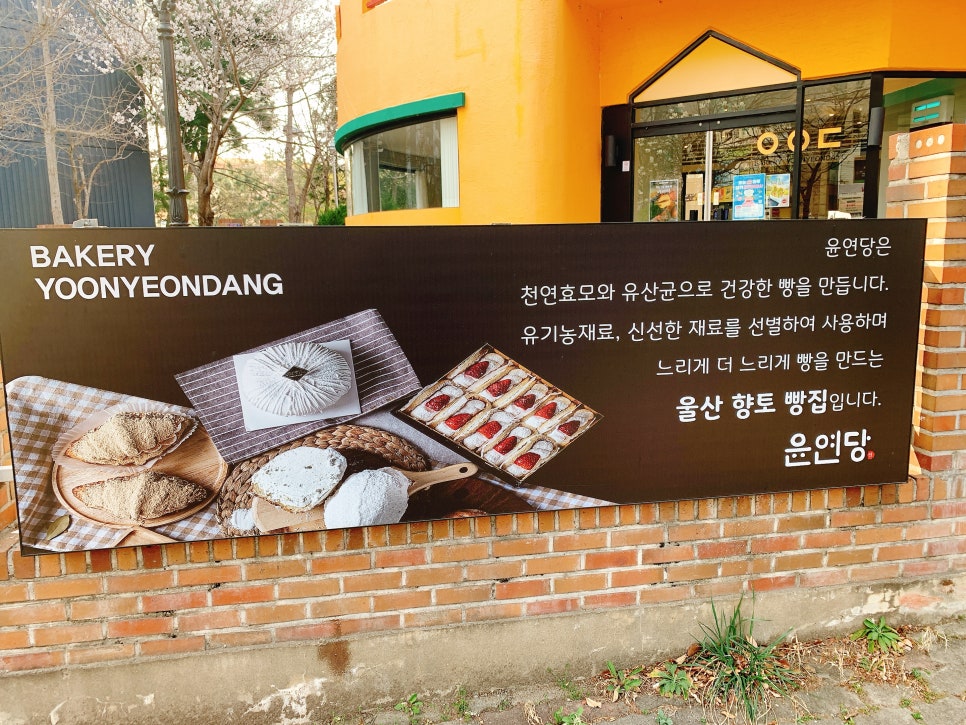 윤연당 천곡점 사진 3