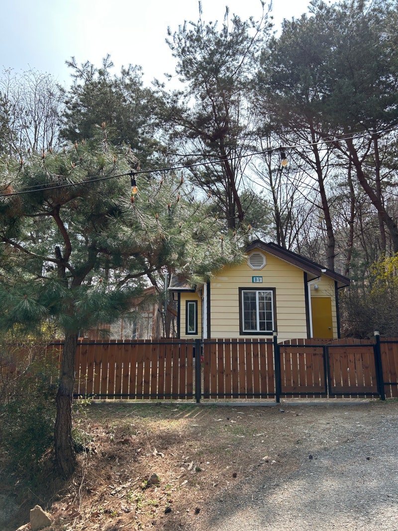 사진 6