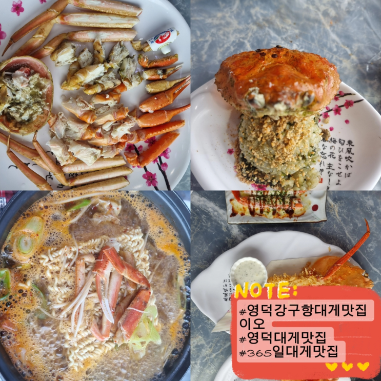  영덕대게맛집 영덕강구항대게맛집이오 강구점 대게코스 오마카세 강구항대게가격 주차 메뉴 솔직후기