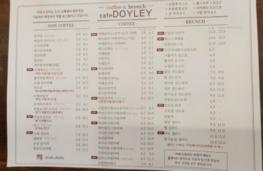 도일리 사진 2