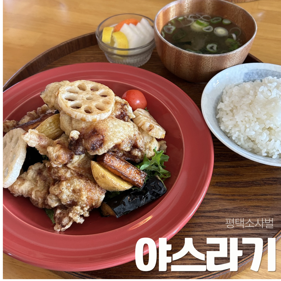 야스라기 사진 1