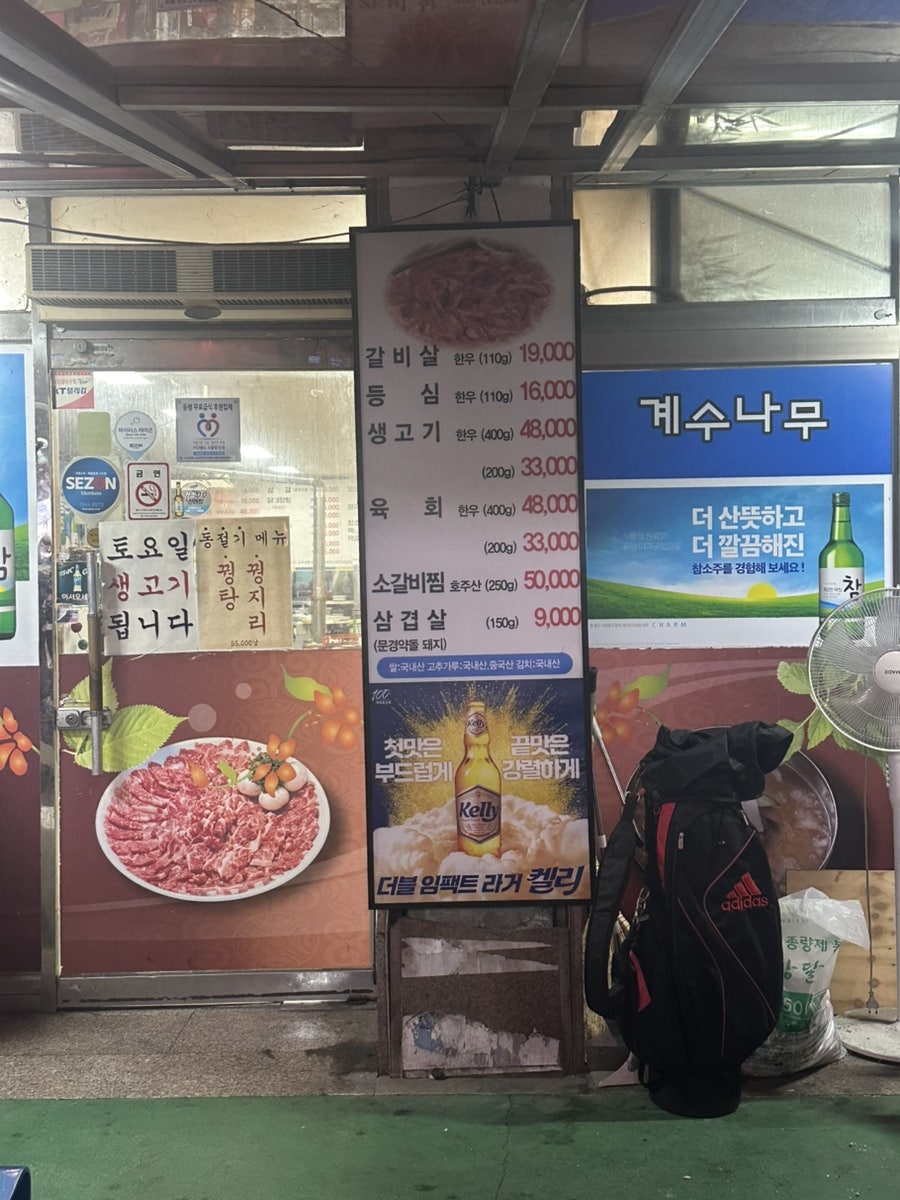 계수나무 사진 2