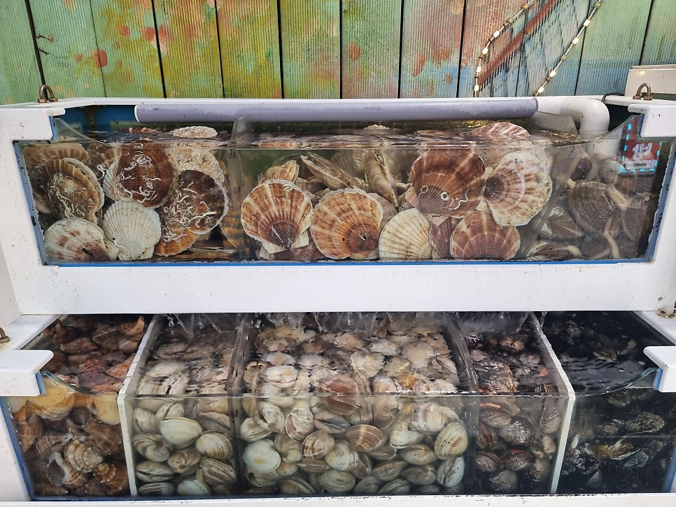맥반석조개구이 사진 3