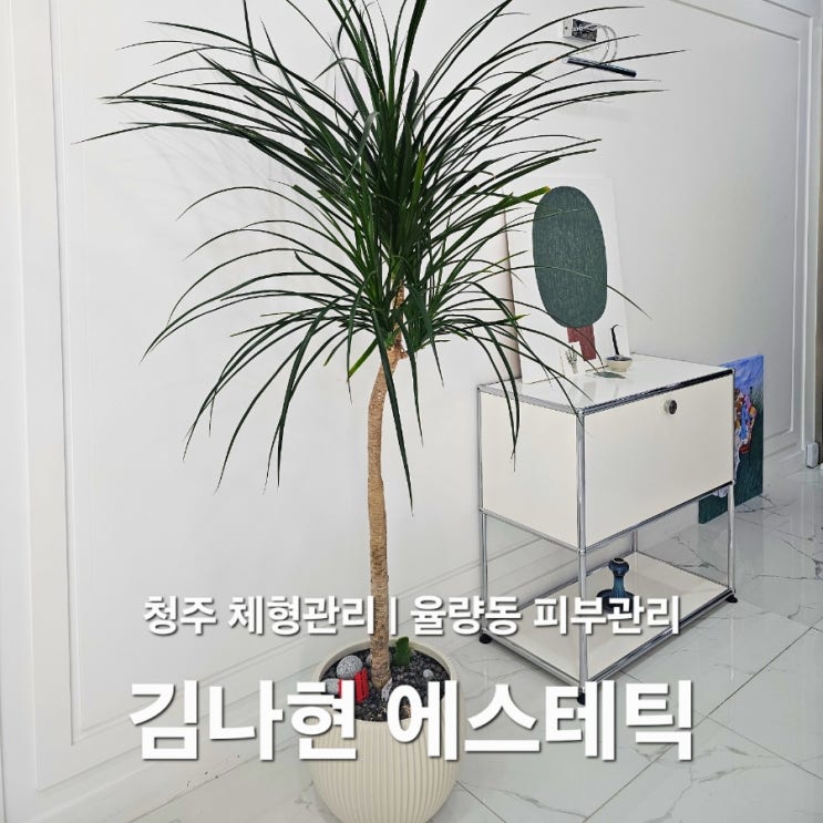  김나현에스테틱 | 청주 체형관리 전신관리 후기