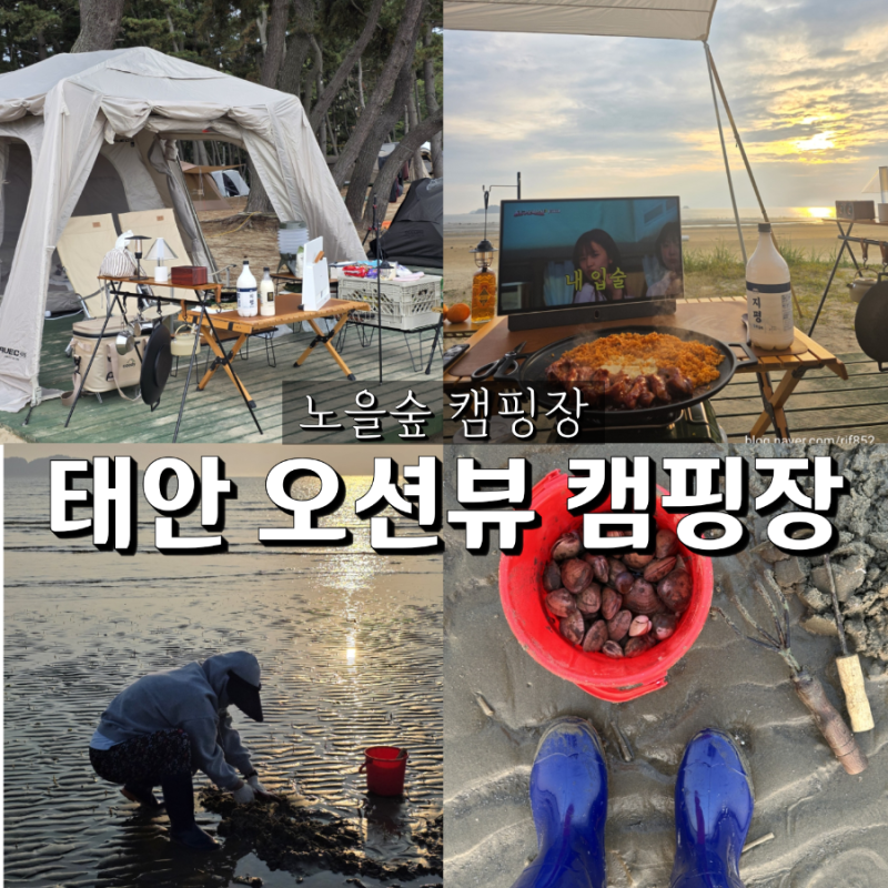 태안 노을숲캠핑장 오션뷰 A존 데크 조개캐기 해루질 체험 대여가능