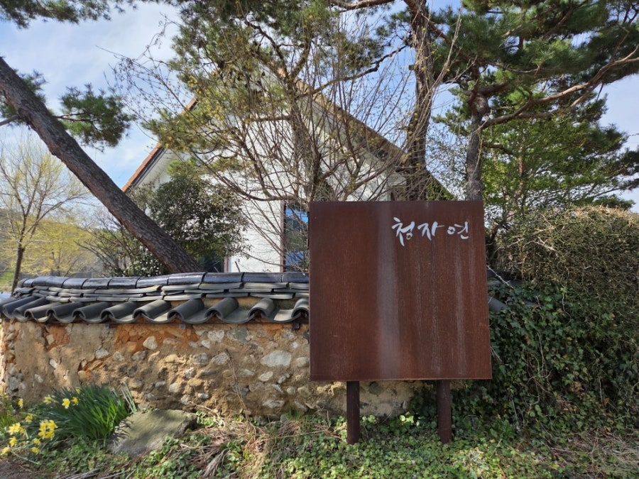청자연 사진 6