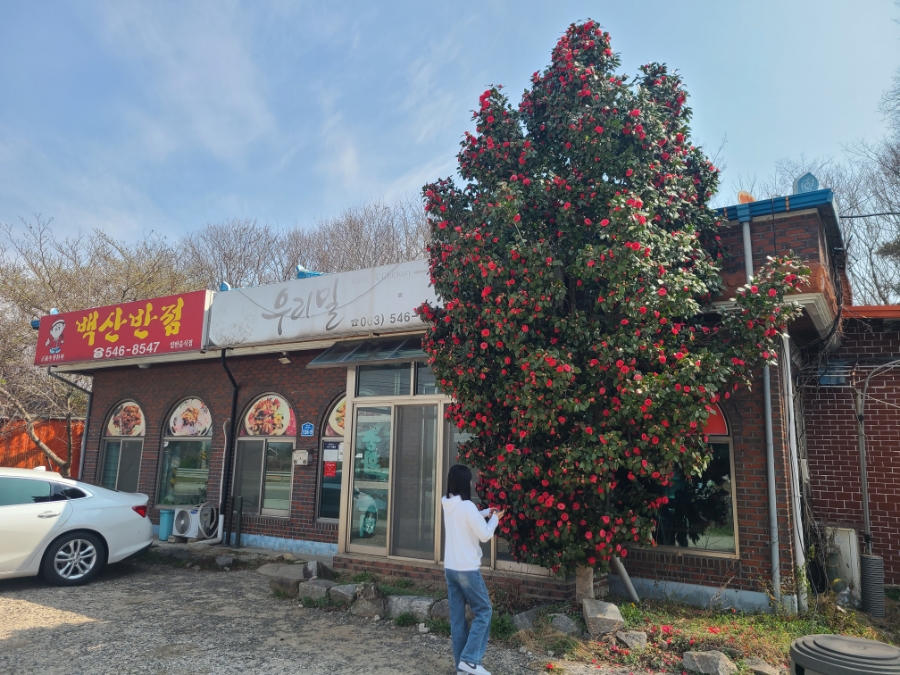 우리밀짜장 백산반점 사진 1