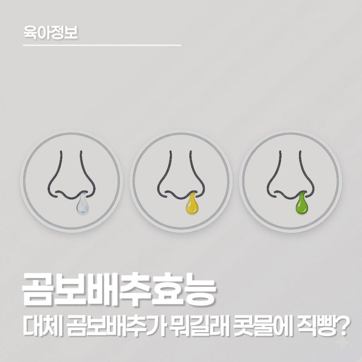  곰보배추 효능 알고 계시나요? 맑은 콧물부터 초록 콧물까지 케어하는 새잎 곰보배추 시럽 솔직 후기
