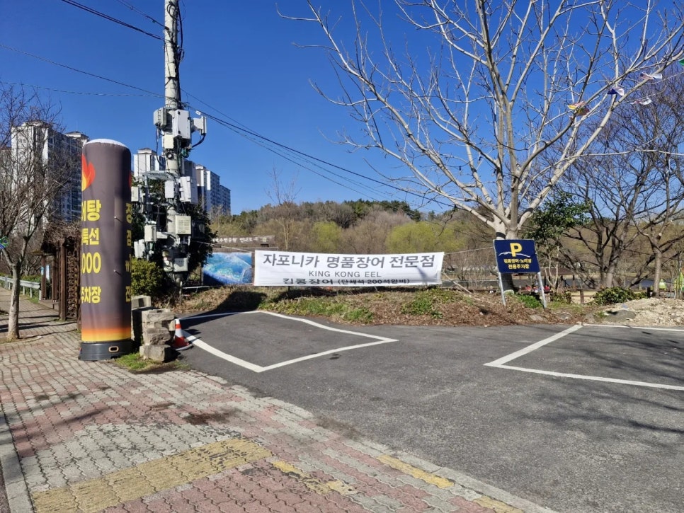 킹콩장어 사진 3