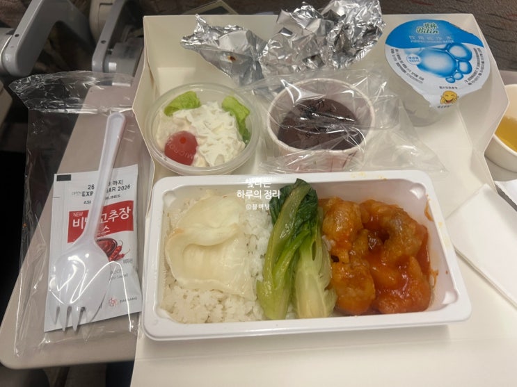 상하이 여행 마지막날 아시아나 기내식먹고 김포공항