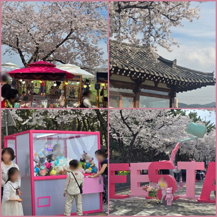  2026 경주 대릉원 돌담길 벚꽃축제 벚꽃길 포토존