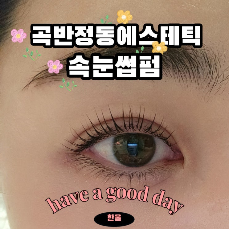  곡반정동에스테틱 5가지 이유로 반한 속눈썹펌 후기