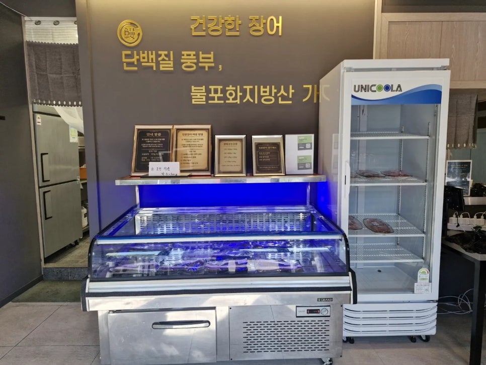 킹콩장어 사진 4