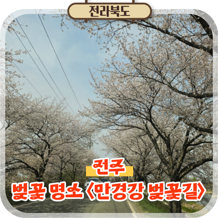  전주 벚꽃 명소 추천 만경강 벚꽃길 전주근교 드라이브코스