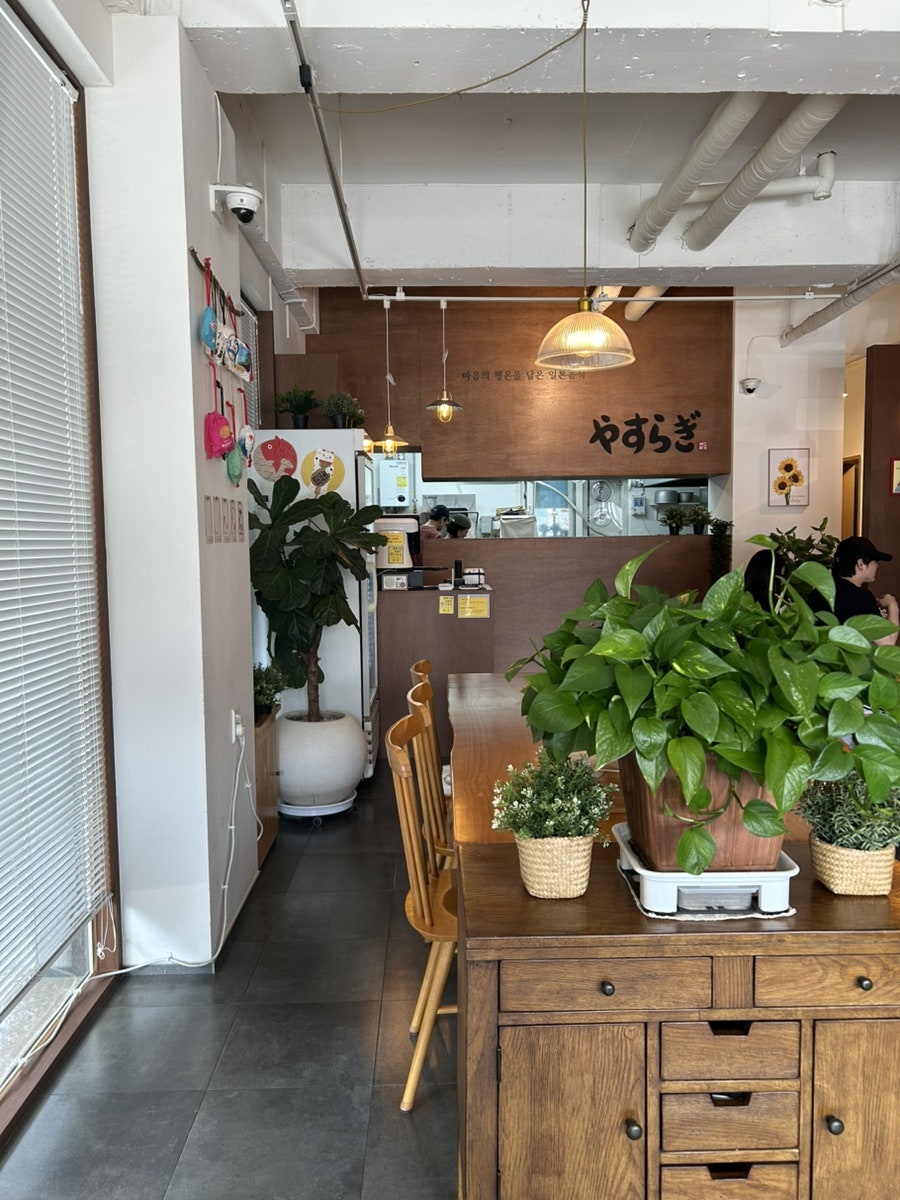 야스라기 사진 4