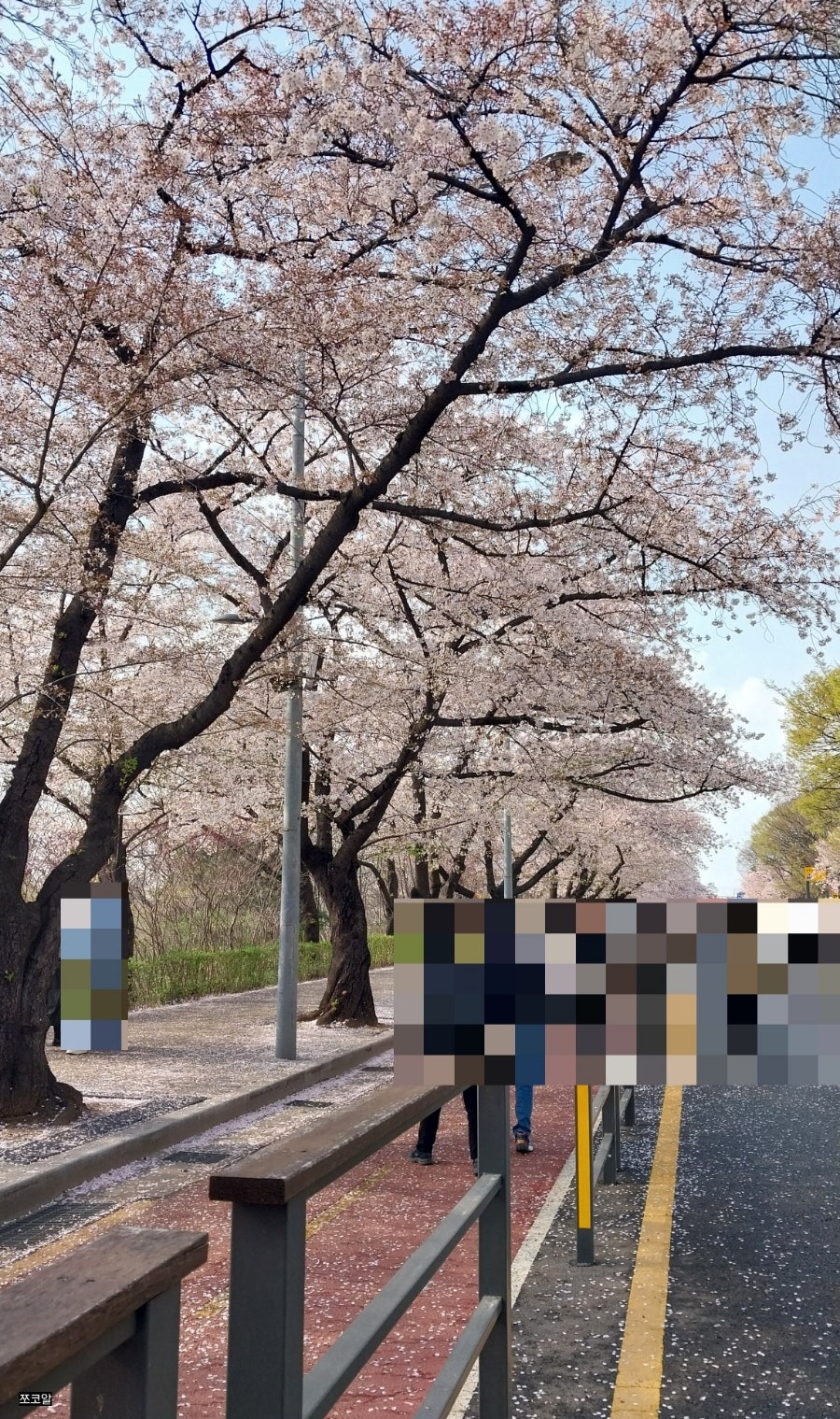 샹스 사진 1
