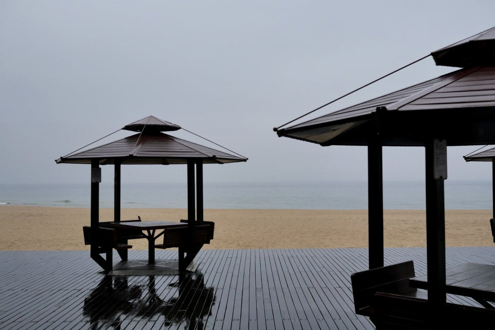 투썸플레이스 삼척해수욕장점 사진 3