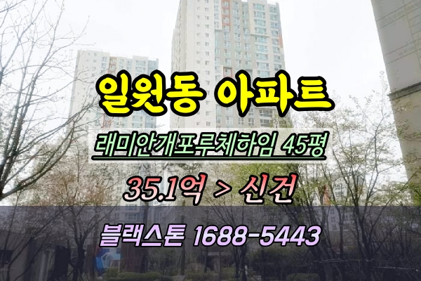  래미안개포루체하임 경매 45평 권리분석 및 투자가치 총정리