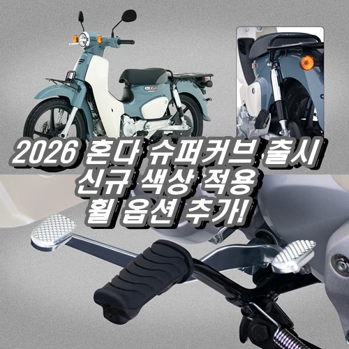 안전성 대폭 강화된 혼다코리아 2026년형 슈퍼커브 출시! 가격, 제원, 디자인, 역사까지 완벽 ....