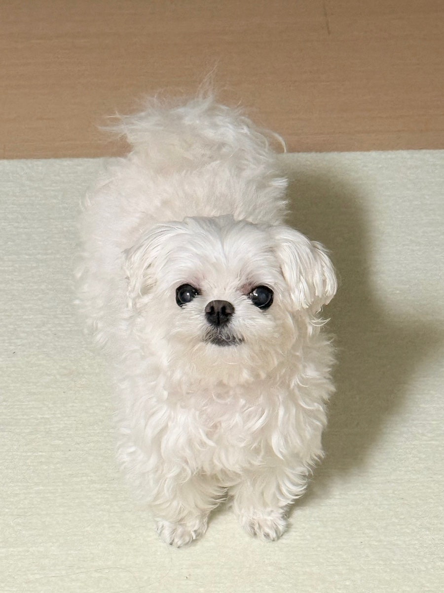 윈썸 사진 6