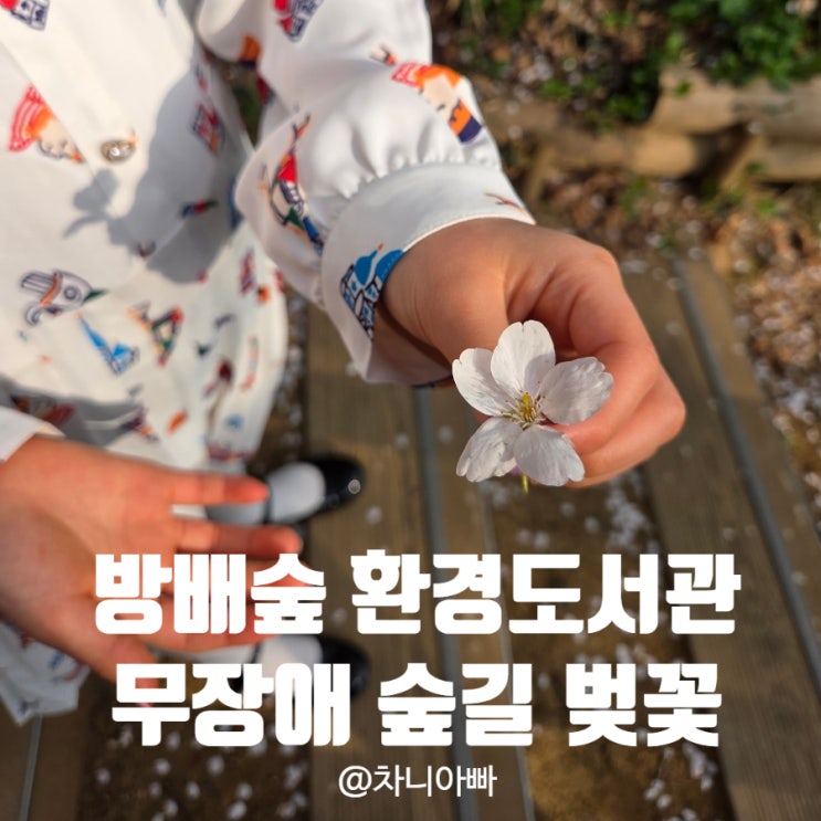  벚꽃이 만개한 방배숲 환경도서관 늦기 전에 방문하세요~