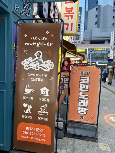 사진 2