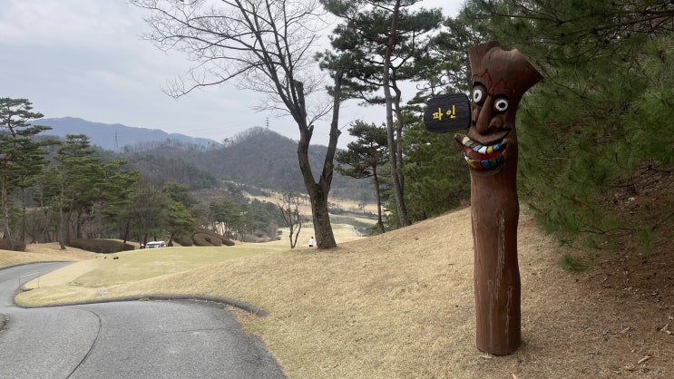  선택의 연속, 코스카cc 파인 코스를 사진으로 담은 냉혹한 후기