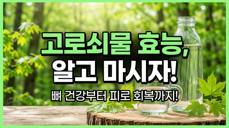 고로쇠물 효능, 뼈에 좋다는 말 사실일까?