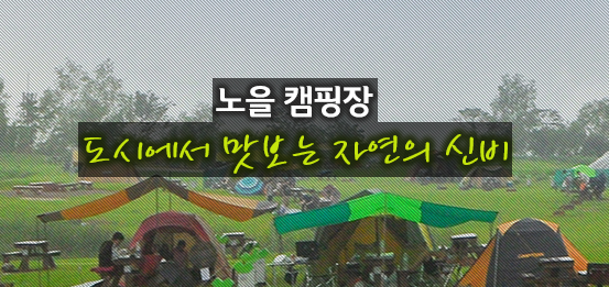 서울 노을캠핑장 예약 사이트 반려견 대형견 동반 가능할까?