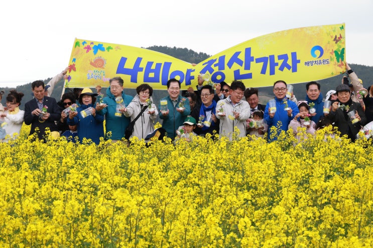 ‘2026 청산도 슬로걷기 축제’ 개막, 치유의 섬으로 오세요!