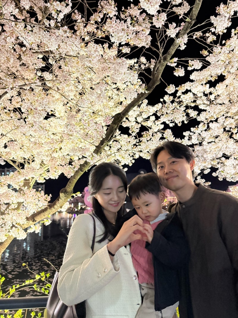 대구근교 벚꽃명소 아이와 가볼만한곳 김천 연화지 벚꽃축제
