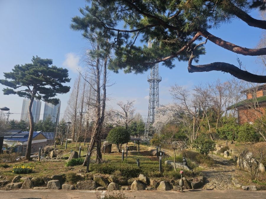 자바브레이크 사진 4