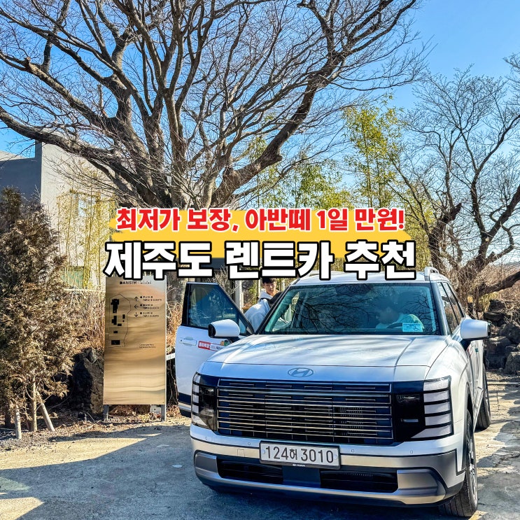  제주 렌트카 추천 제주도 렌트 가격비교 자차 돌하루팡