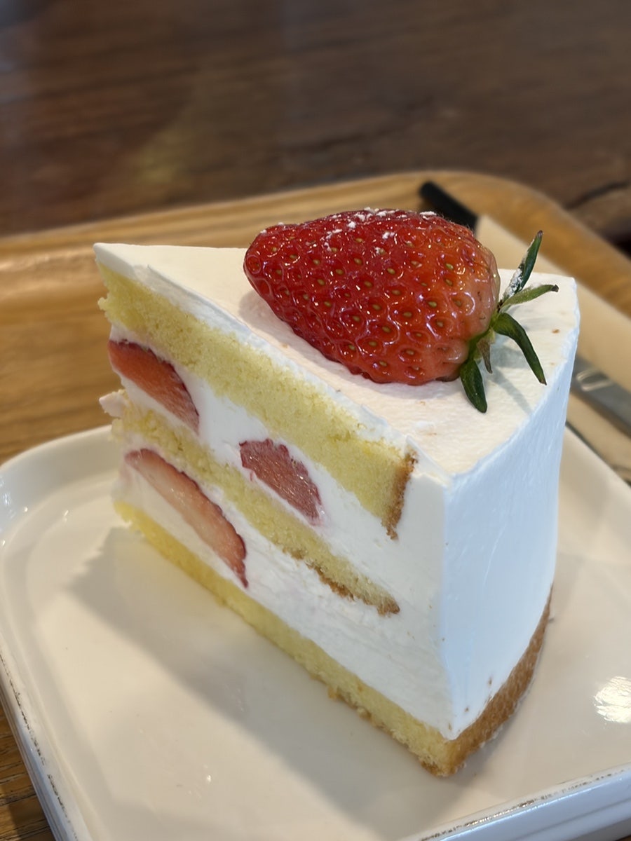 카페M2 사진 3