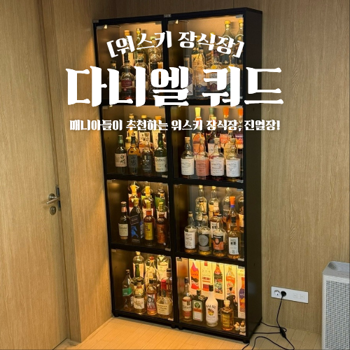  다니엘 쿼드 위스키 장식장 진열장 추천 내돈내산 후기