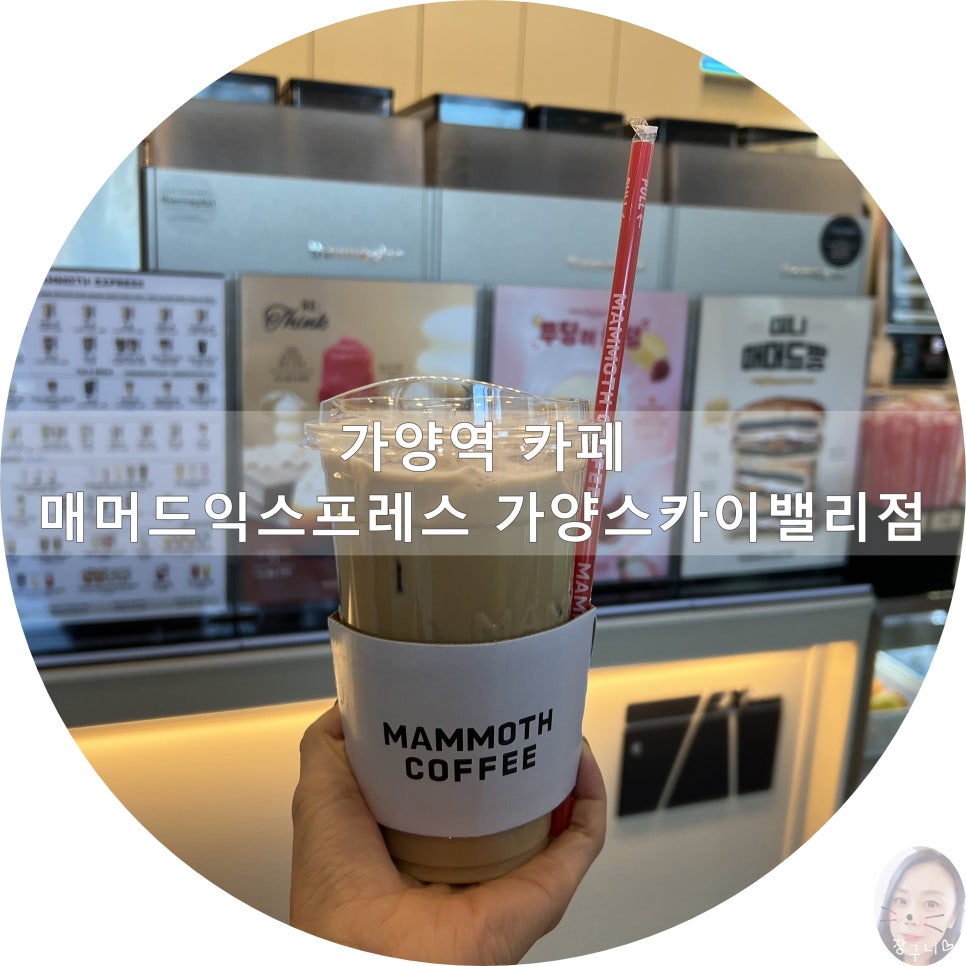 매머드익스프레스 가양스카이밸리점 사진 1