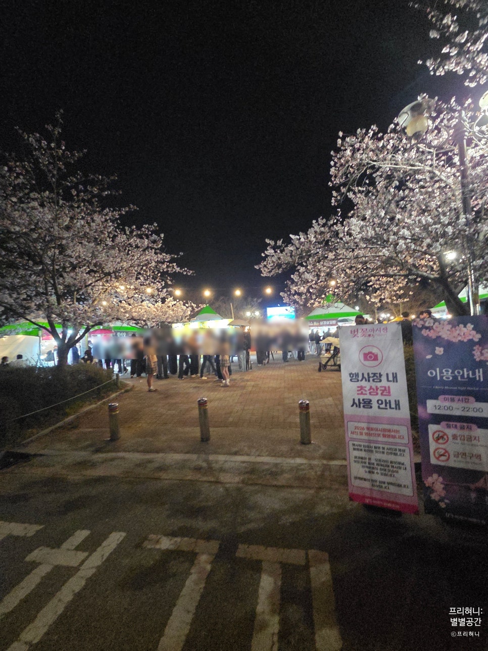 2026 군산 은파벚꽃야시장 사진 3